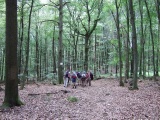 2011- 203.jpg